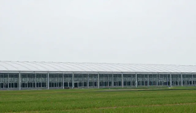 东莞南城网站建设：供需自动匹配与商机对接的实践