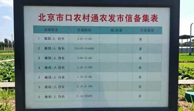 黄页展示板块优化策略及日常维护建议