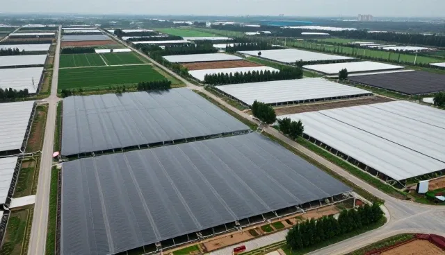 聚合资讯平台在不同行业场景中的推广效率分析